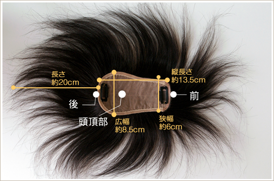 TP100B�̃T�C�Y