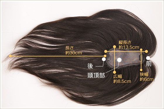 TP100R-MONO�̃T�C�Y