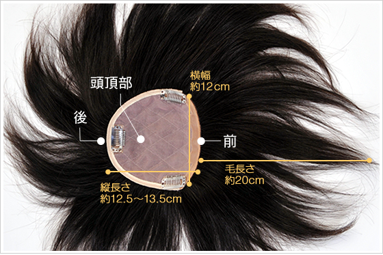 TP200BR�̃T�C�Y